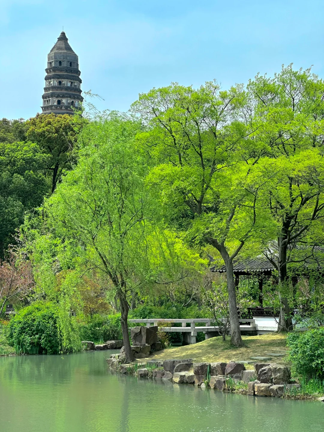 到虎丘才知道苏州的春天多治愈！