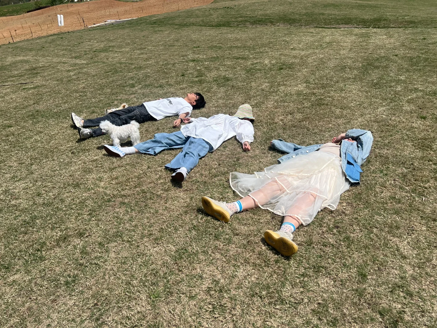 精神状态be like：快乐小狗