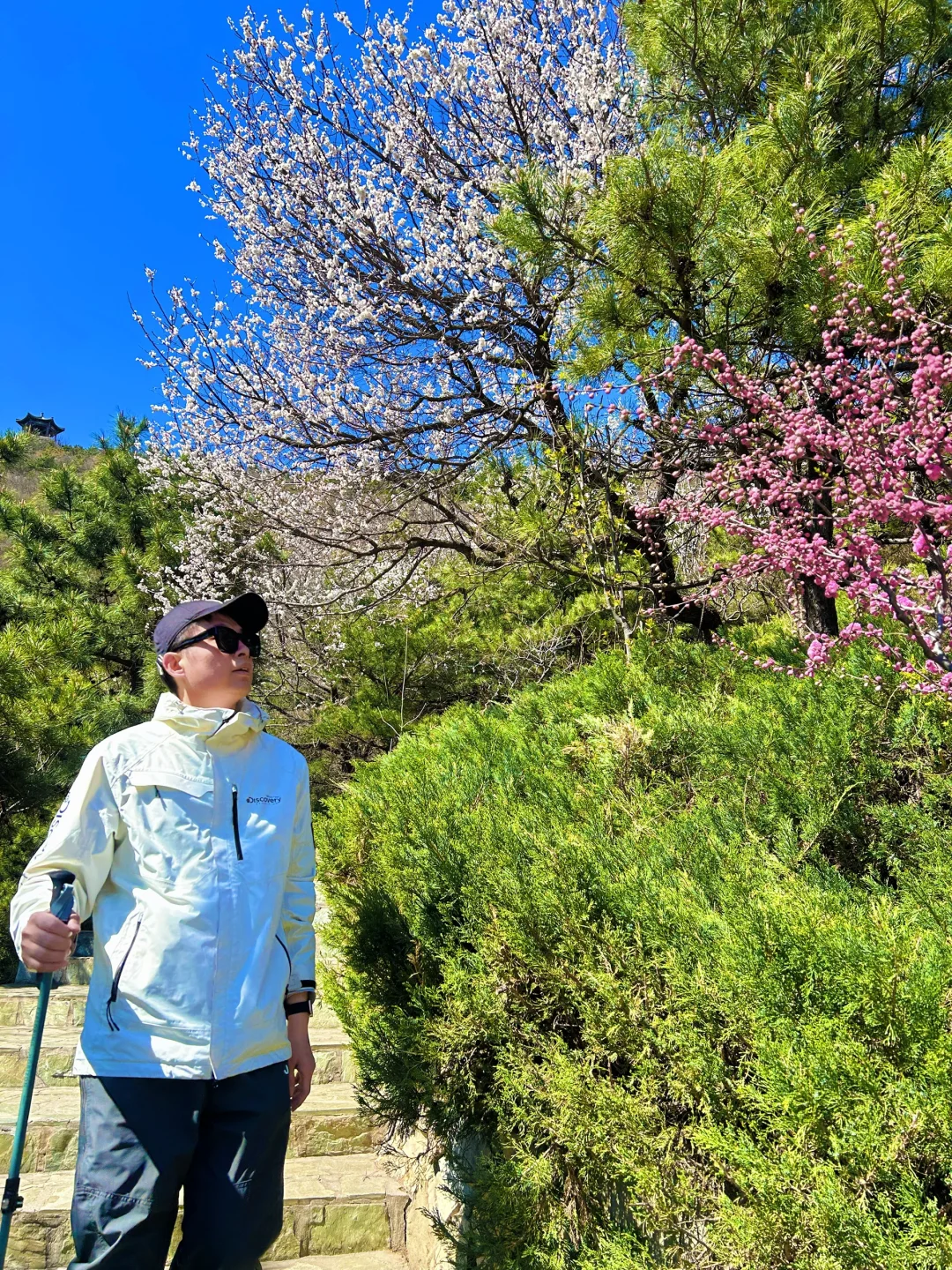 北京清明节春游好去处，绝美踏青徒步路线🌿