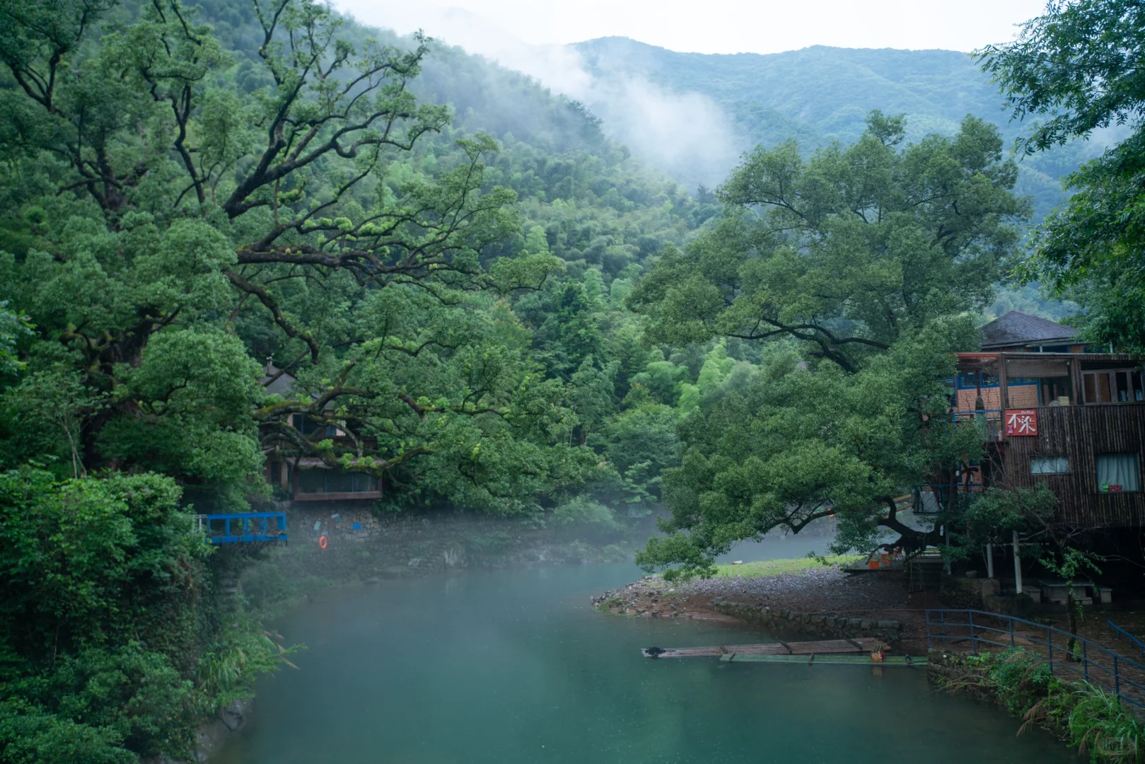 后悔才去😭江浙沪最适合春游的绝美小城