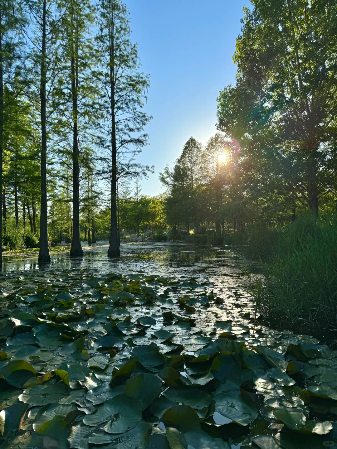 烟台！🌿超全春日🌸打卡神仙地景点合集！！