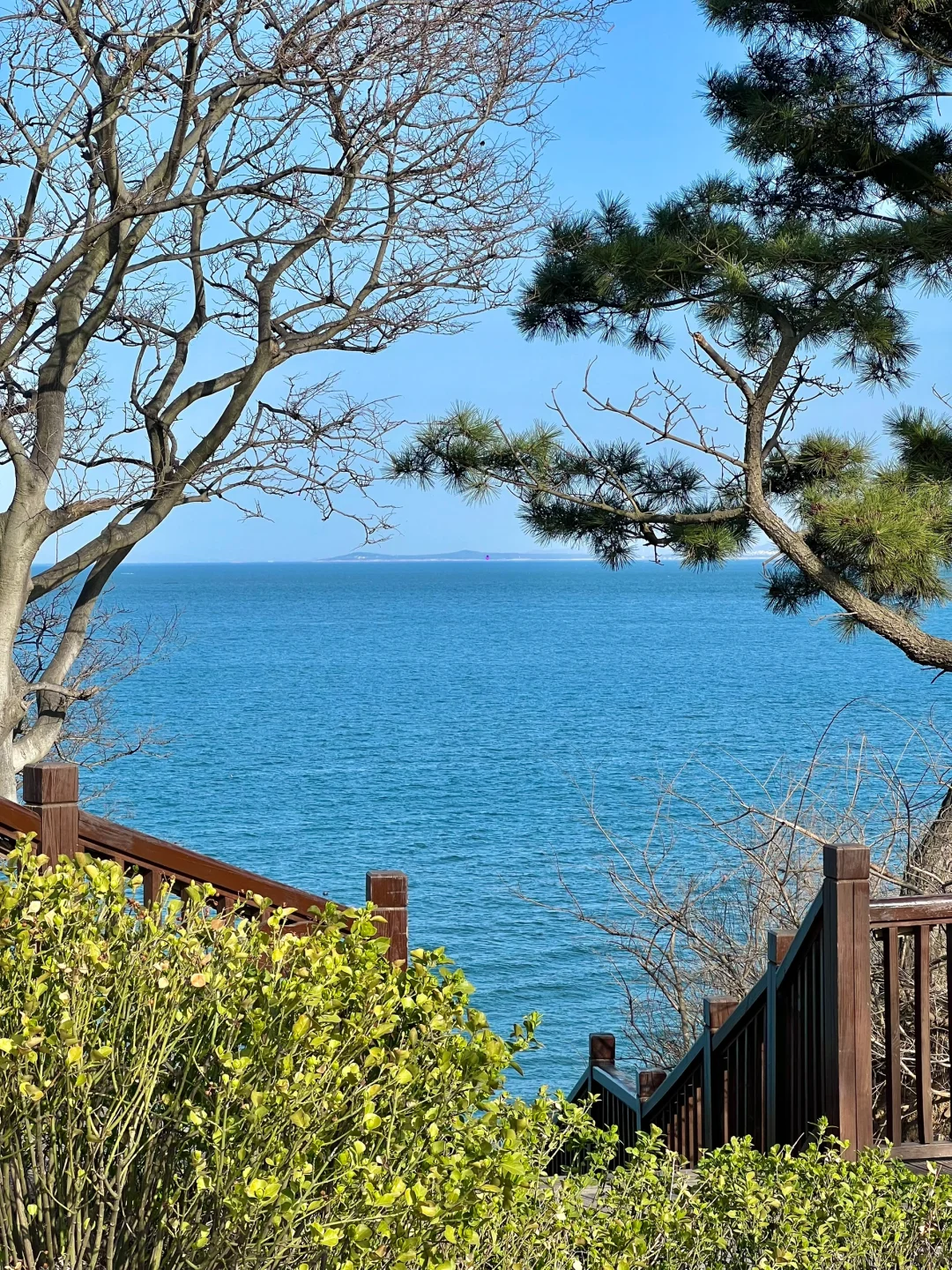 烟台！🌿超全春日🌸打卡神仙地景点合集！！