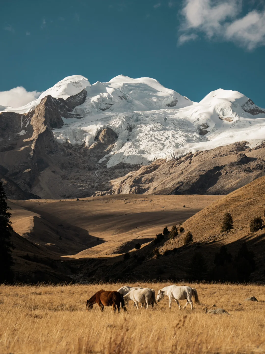格聂 从来不是谁的平替