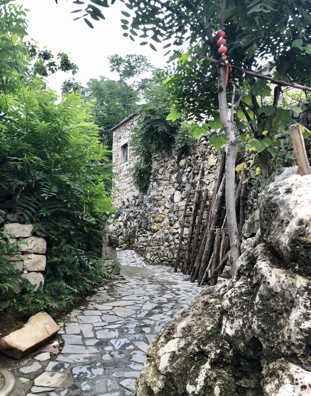 清明拒绝人挤人【河南小众】春日秘境🌸