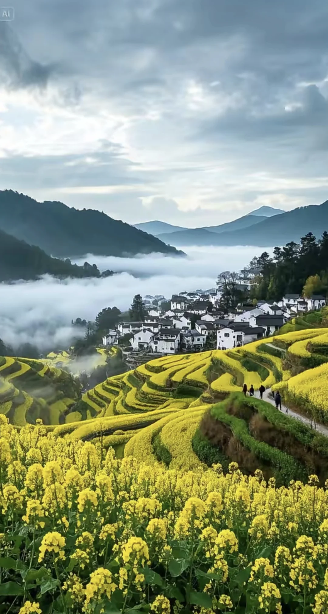 《国家地理》强推！大学生三天两夜婺源攻略