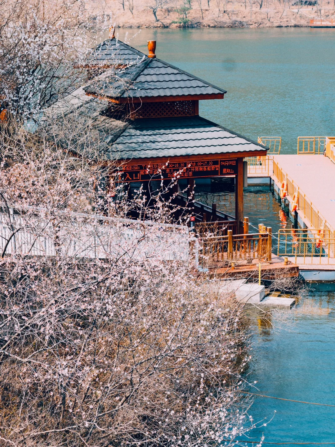 清明去京郊❗️山桃花➕长城➕湖泊，附线路攻略