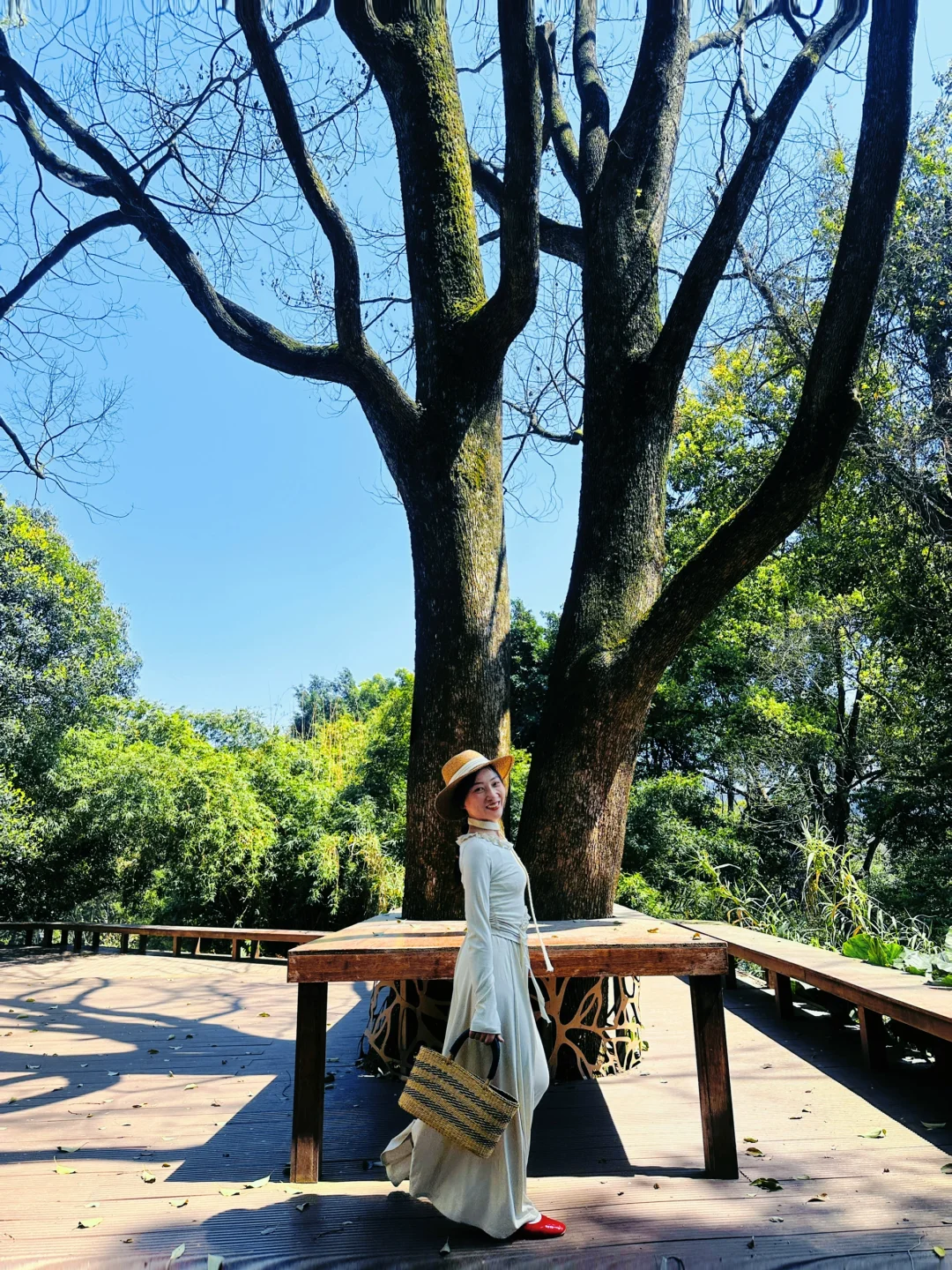 乐山」老城区被低估的公园，美到next level了