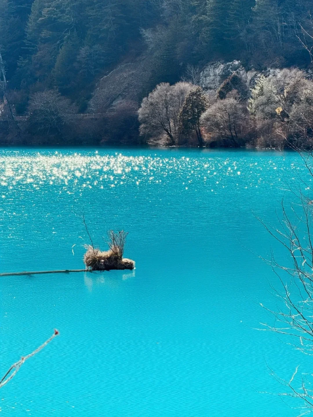 九寨沟高铁已回，真心建议要去的慎重考虑！