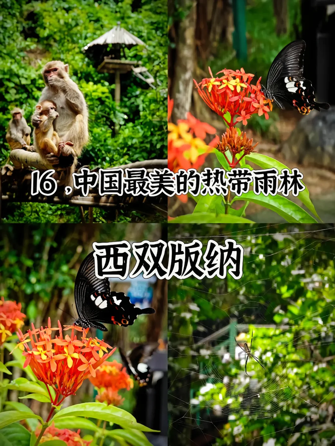 中国最美的20个地方 去过一半 此生无憾