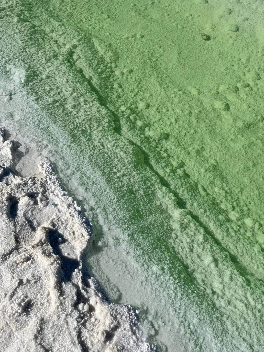 3.31📍察尔汗盐湖已回，live直出，劝退不了