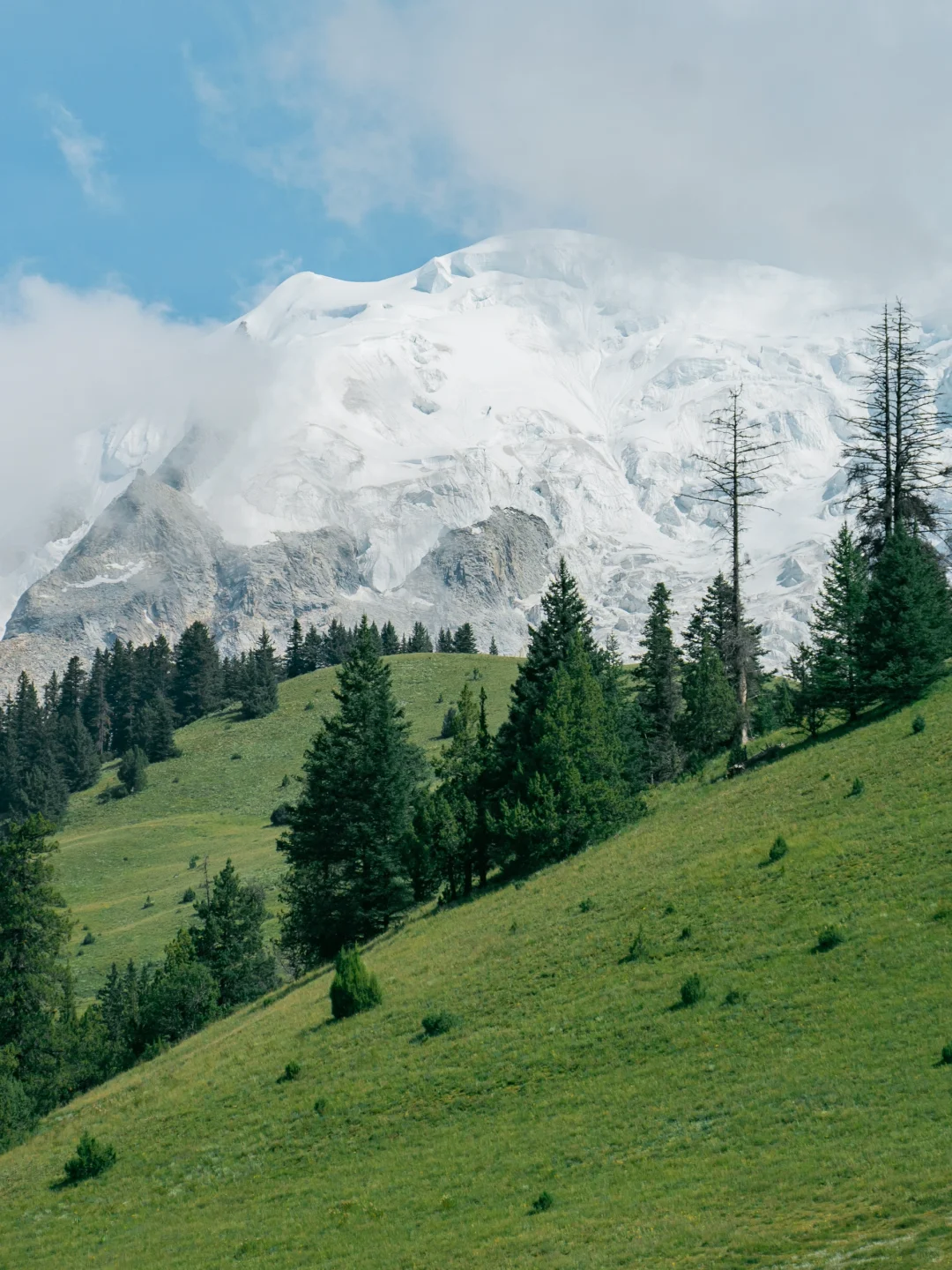 格聂 从来不是谁的平替