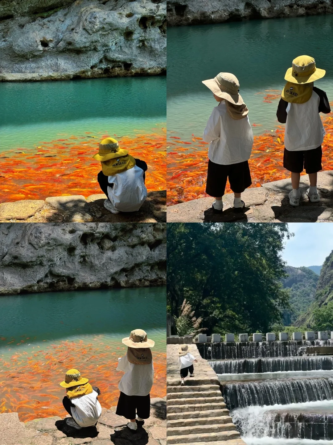 整理好了❗️温州清明宝藏户外遛娃地合集推荐