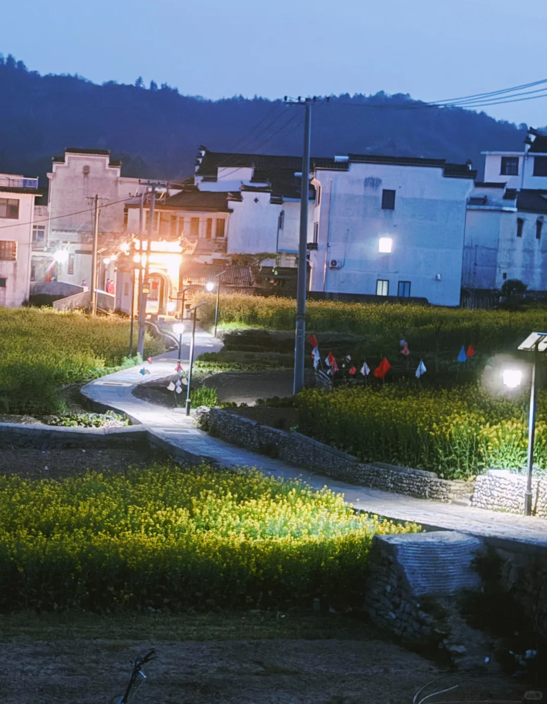 婺源宏村去腻了❗️绝美油菜花梯田在这里