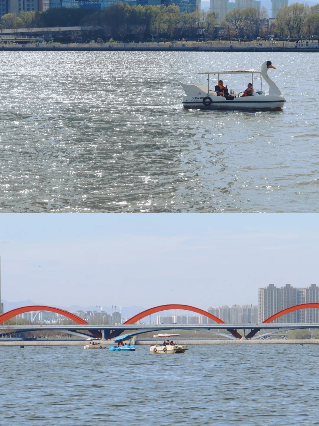 来太原旅游麻烦都来划一下这个小天鹅船好吗