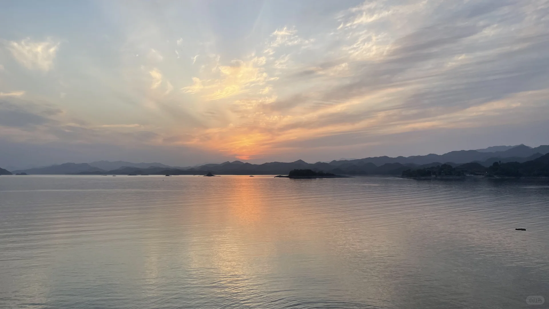 精神状态be like：快乐小狗