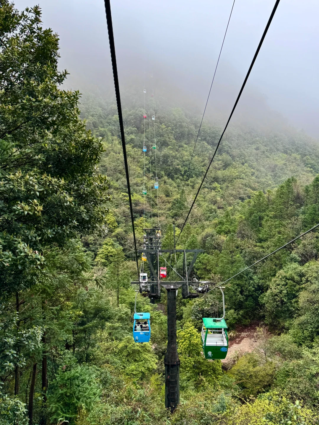 我宣布！！这是我在江西花的最值的一笔…