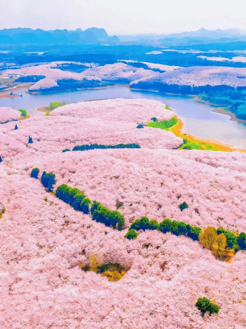 3-5月安顺旅游攻略🌸小众宝藏地大揭秘✨