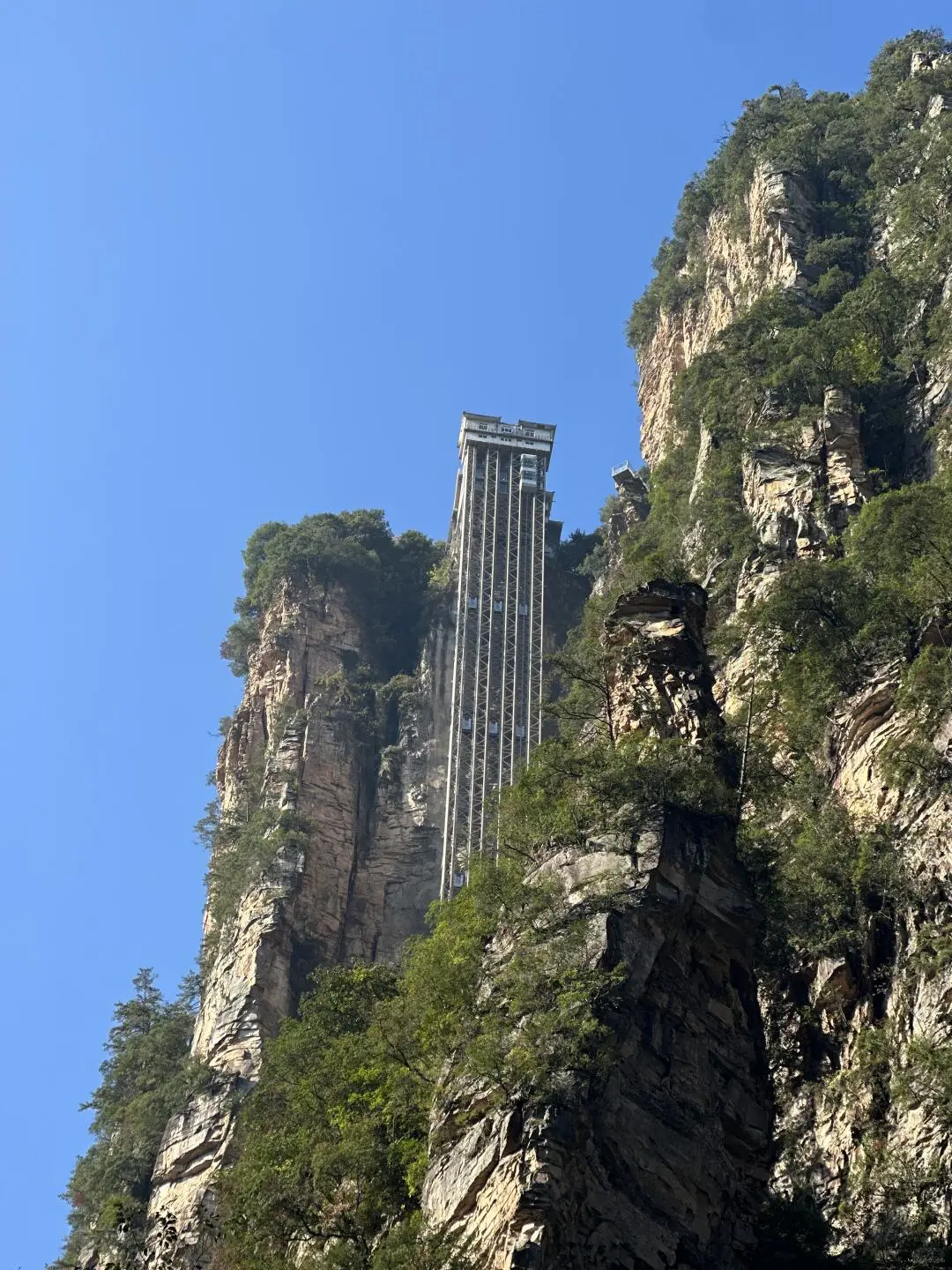 都感叹张家界山峰险峻，谁又知工人的勇气