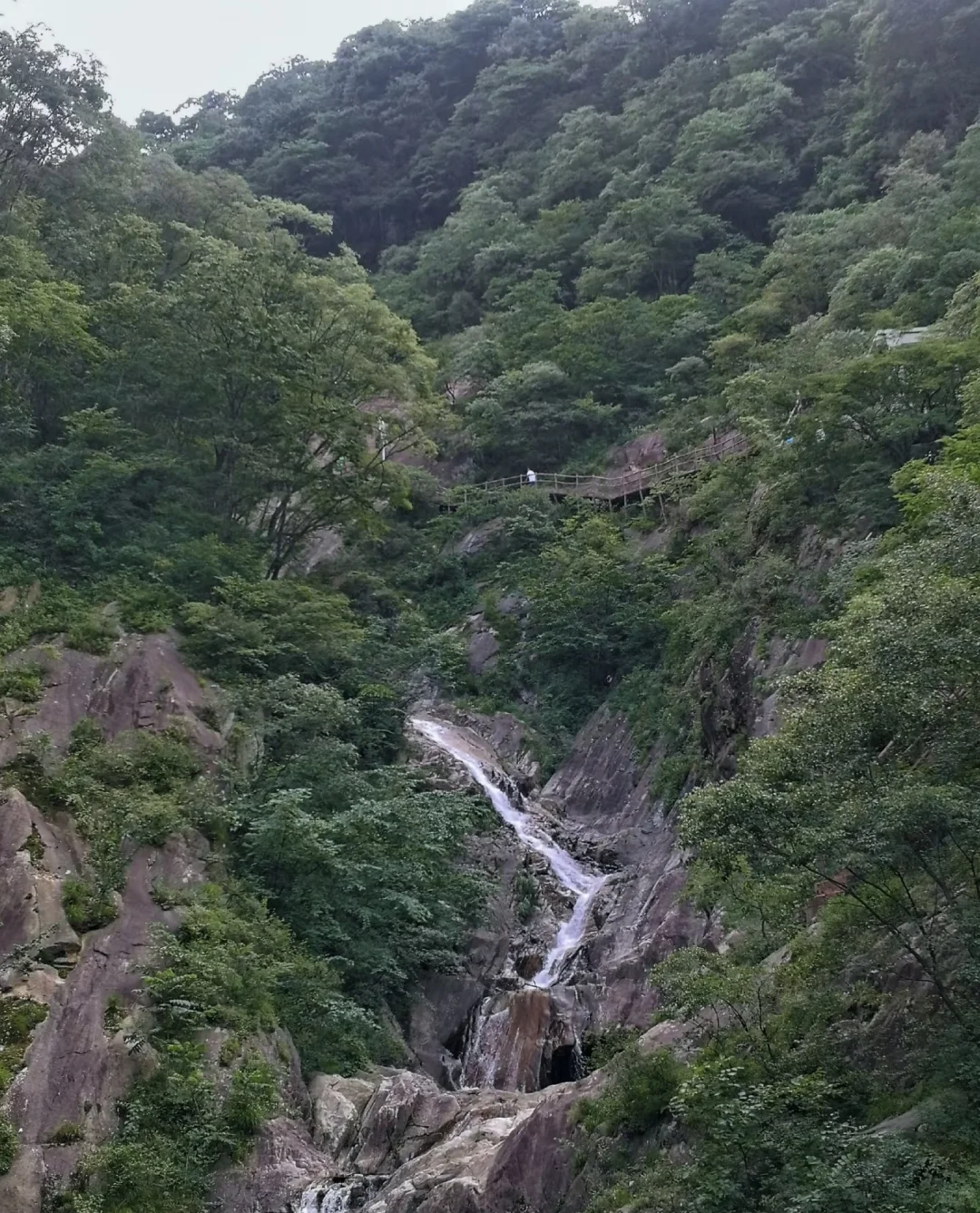 清明拒绝人挤人【河南小众】春日秘境🌸