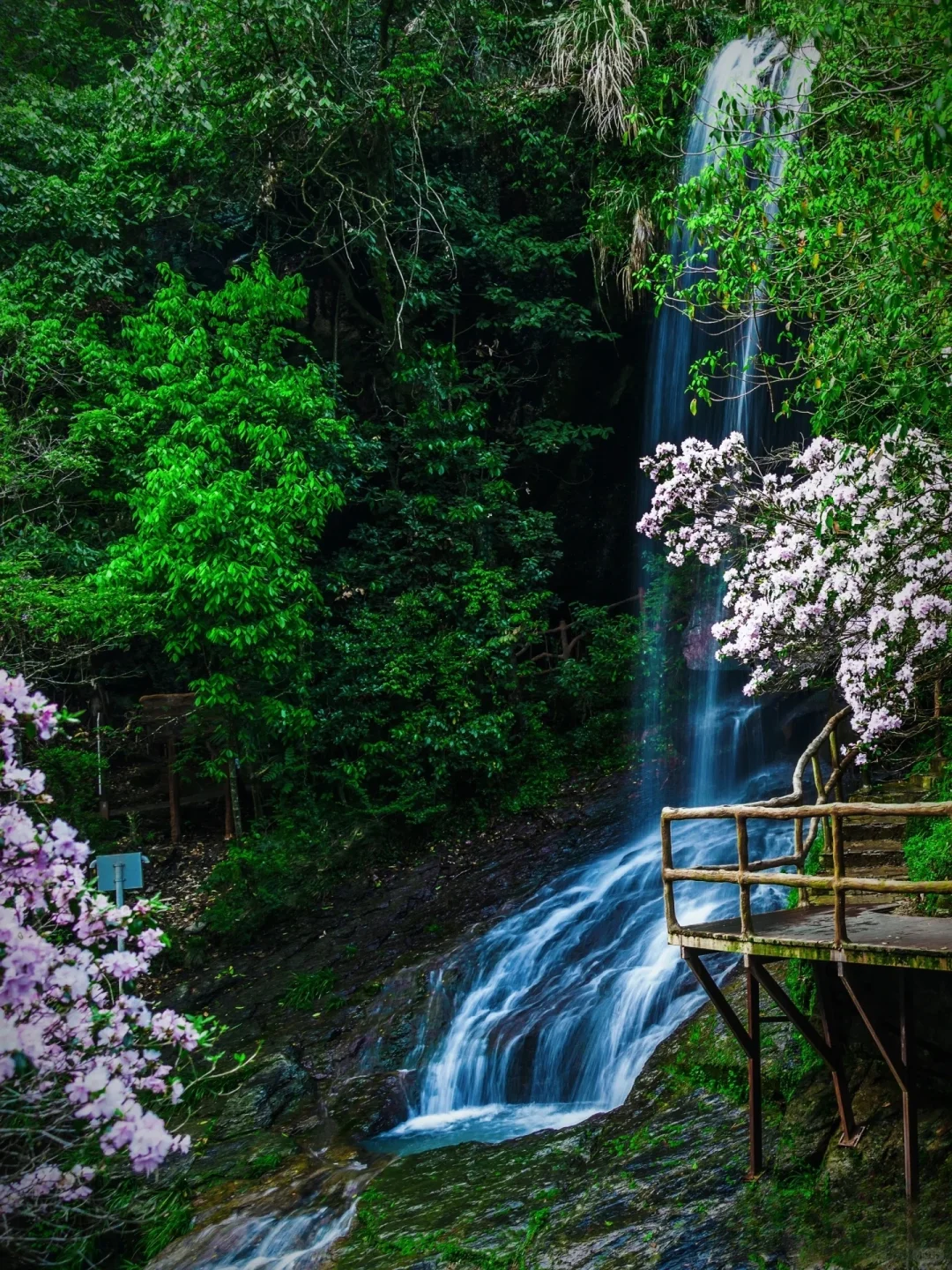 「江浙沪周边」4条绝美自驾路线，周末说走就走