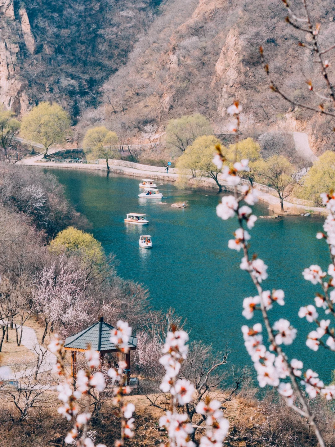 清明去京郊❗️山桃花➕长城➕湖泊，附线路攻略