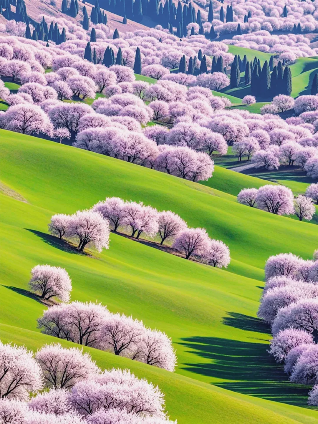 国内3月-4月去哪儿玩？