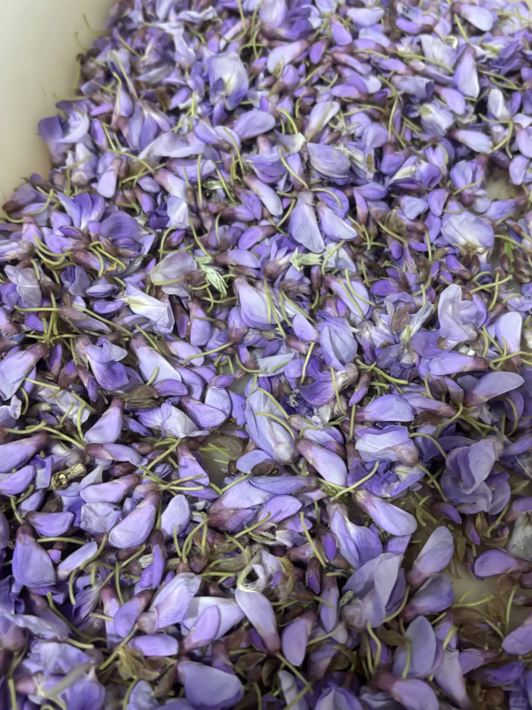 婺源宏村去腻了❗️绝美油菜花梯田在这里