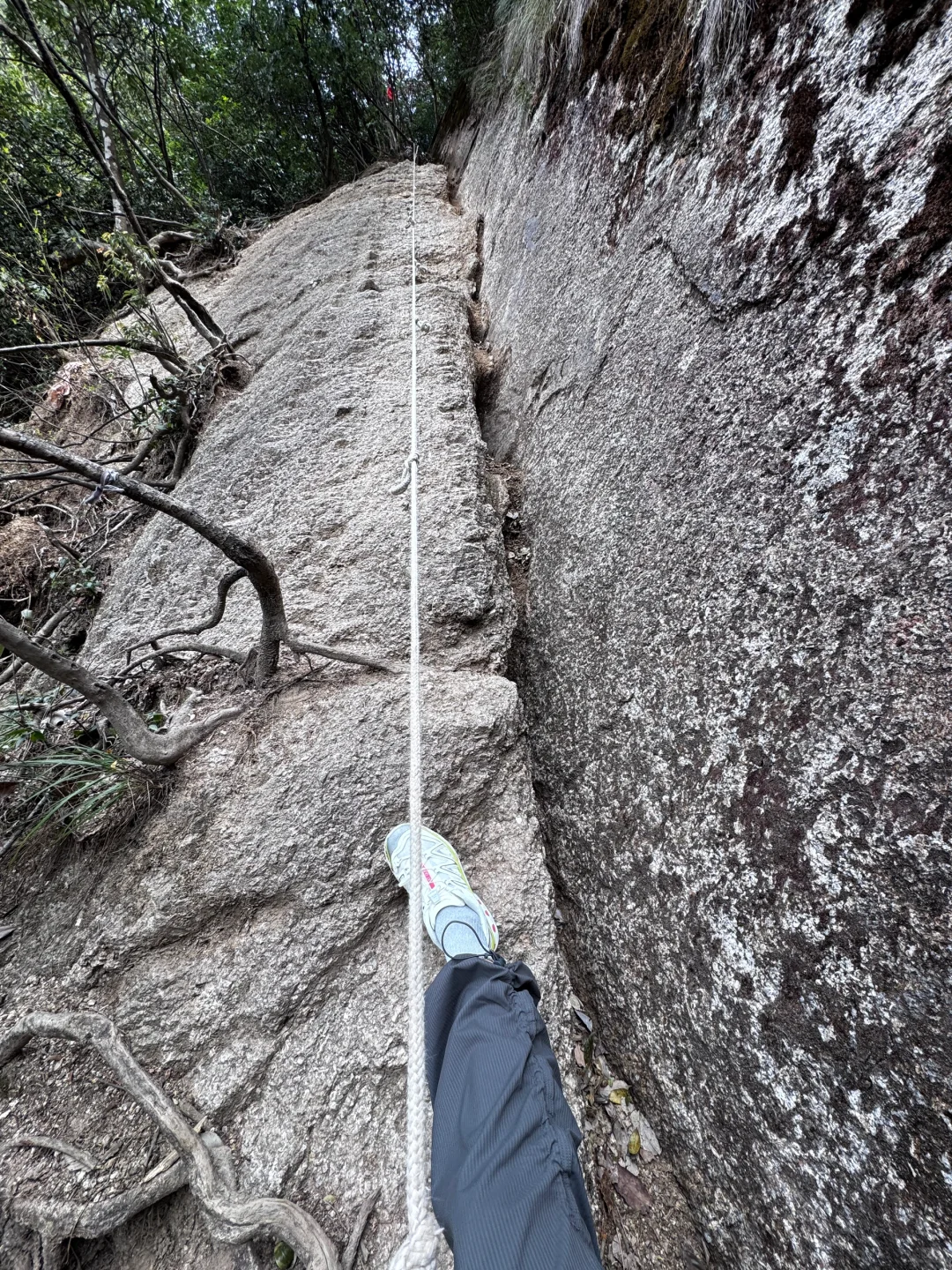 爬了个大山⛰️
