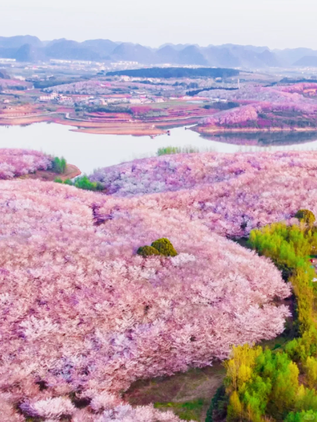 国内3月-4月去哪儿玩？