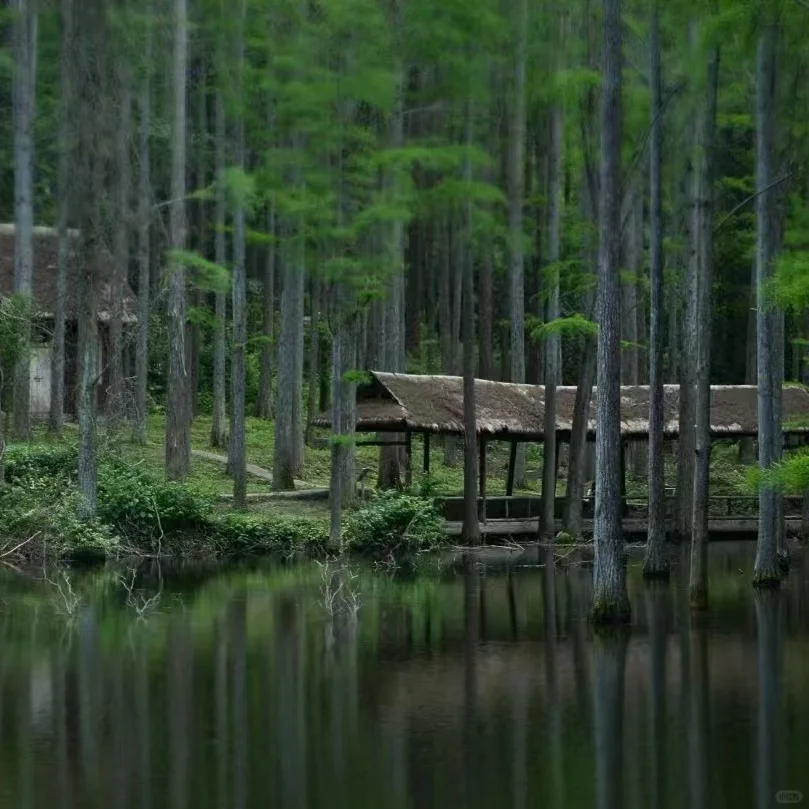 清明节信阳三天旅行攻略