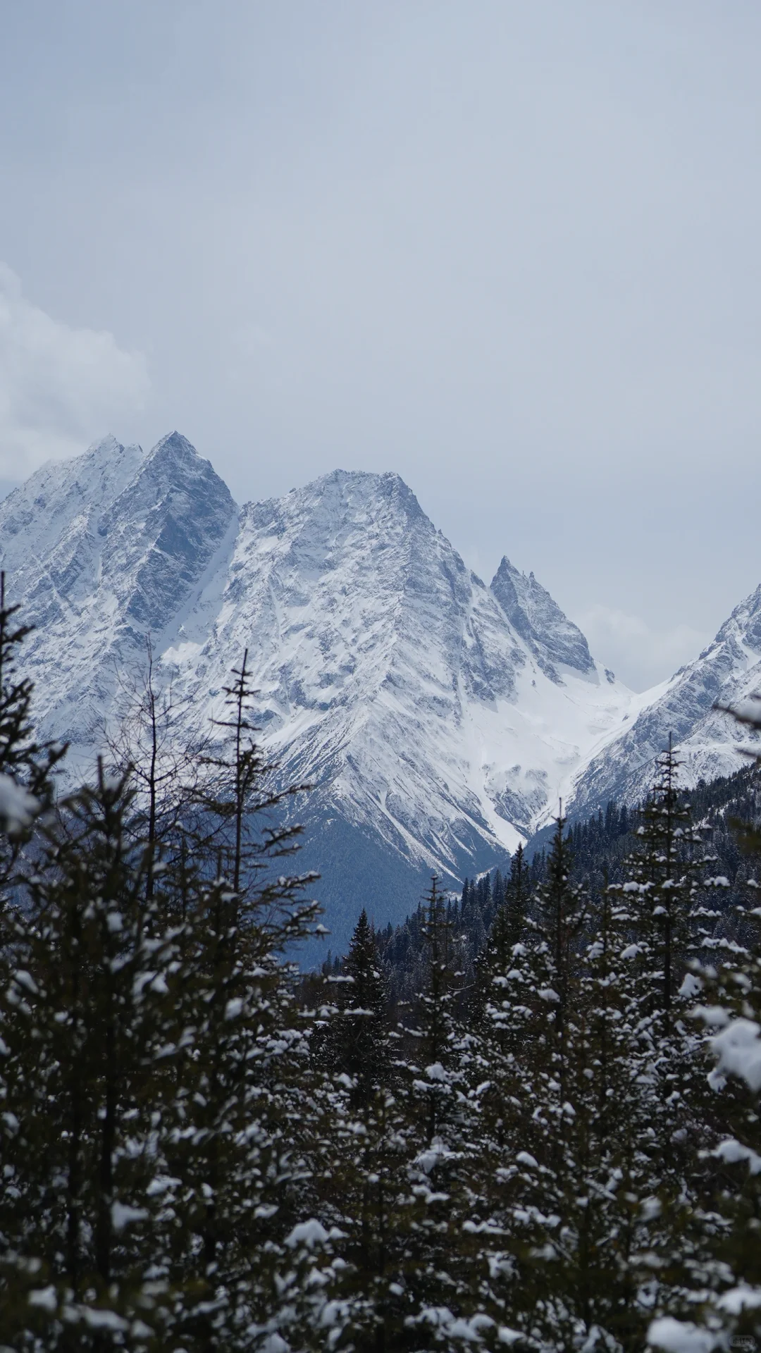 四姑娘山｜4️⃣月双桥沟沉浸式游玩攻略✅