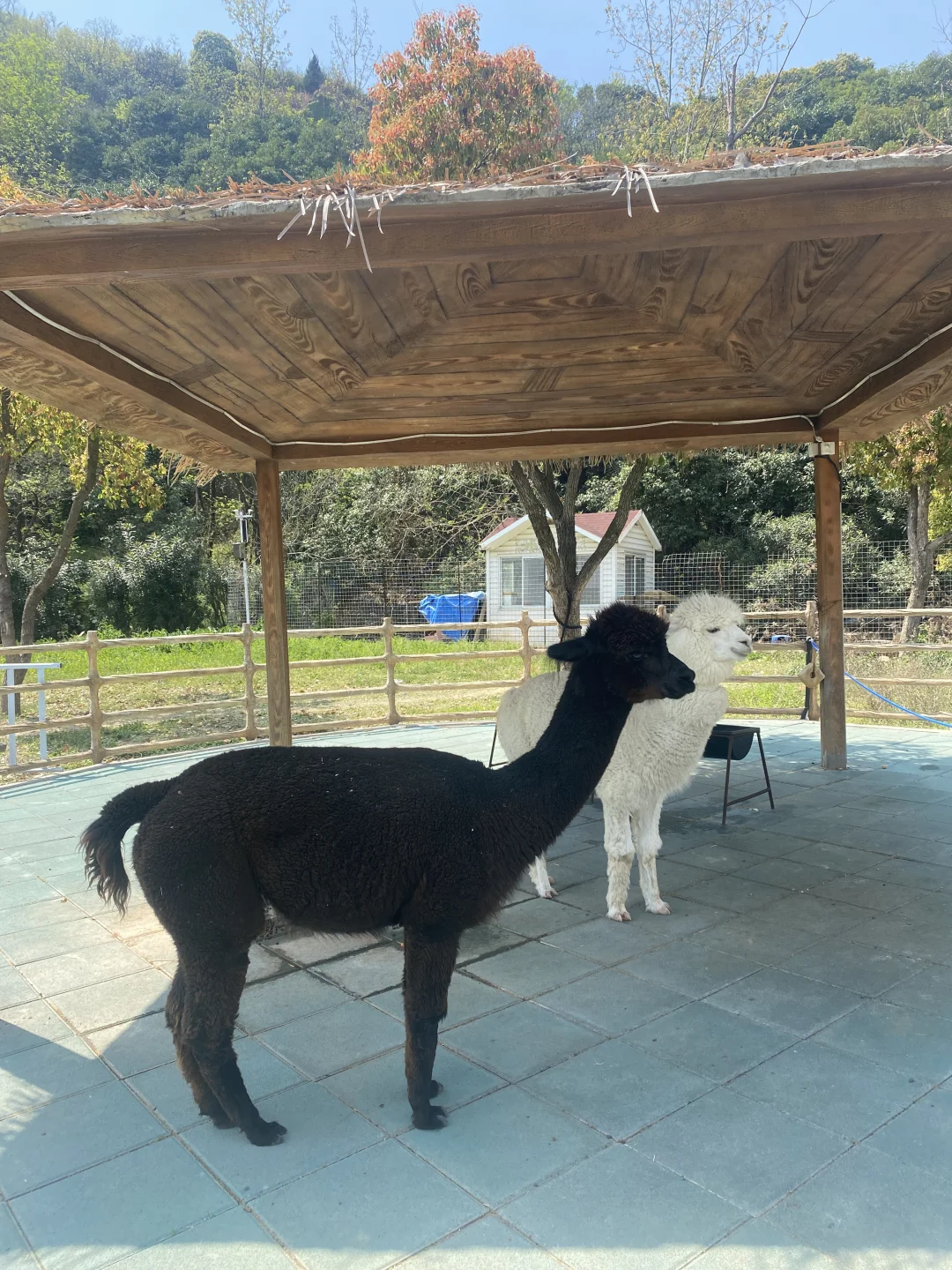 无锡雪浪山一日游