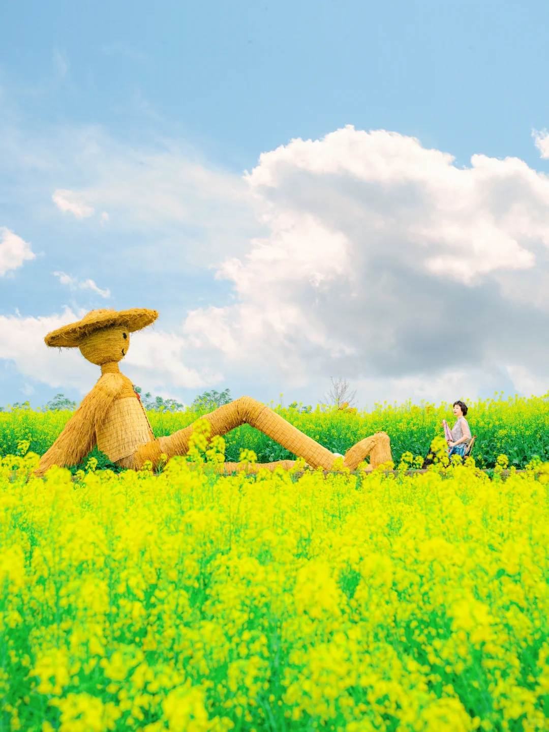 能打败乌镇的，只有春天的乌镇！