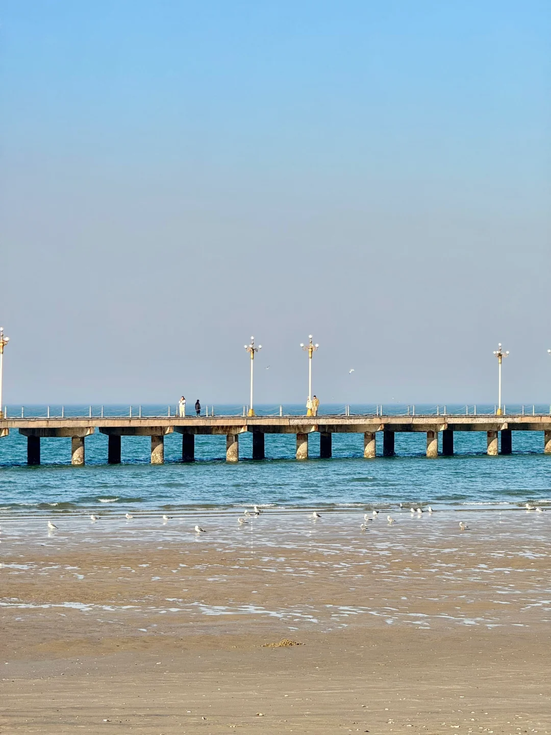 烟台！🌿超全春日🌸打卡神仙地景点合集！！