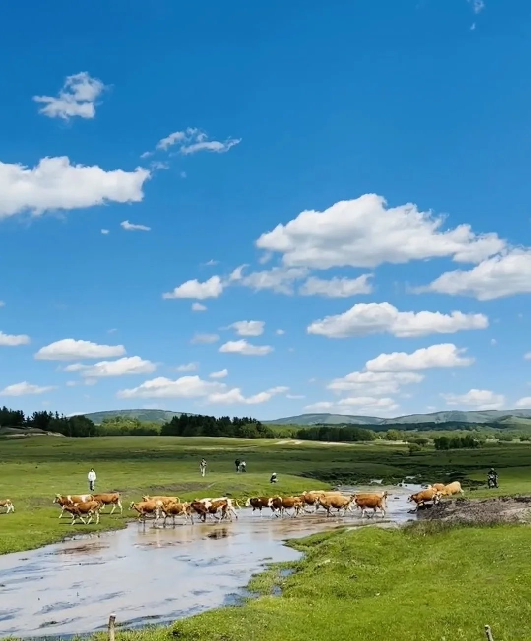 第一次来乌兰布统不要慌❗️❗️来看旅游攻略