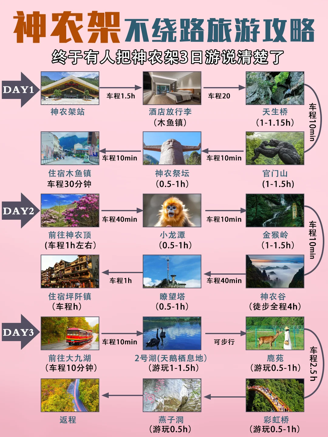 神农架3天保姆攻略🌲金丝猴云海晨雾全包