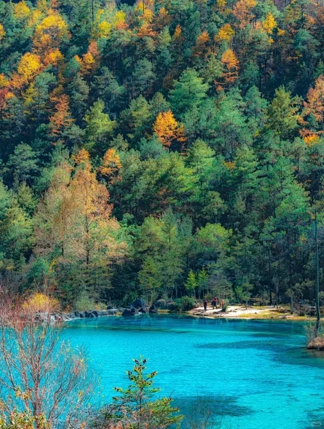 🌿蓝月谷｜玉龙雪山脚下的绝美秘境