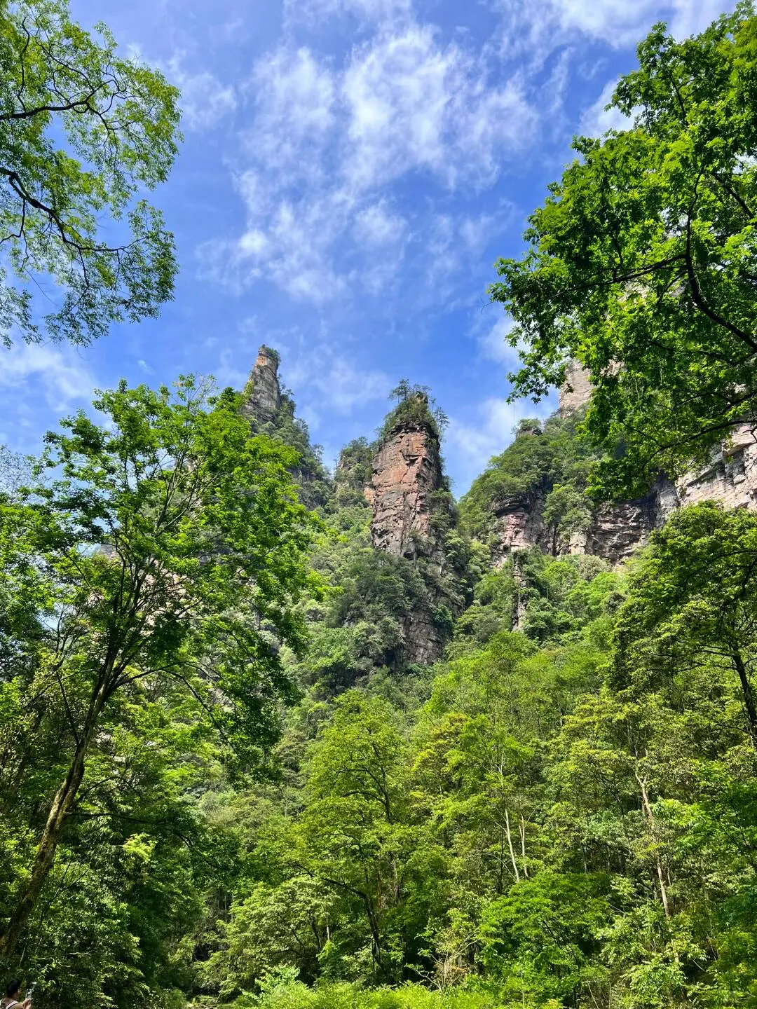 都感叹张家界山峰险峻，谁又知工人的勇气