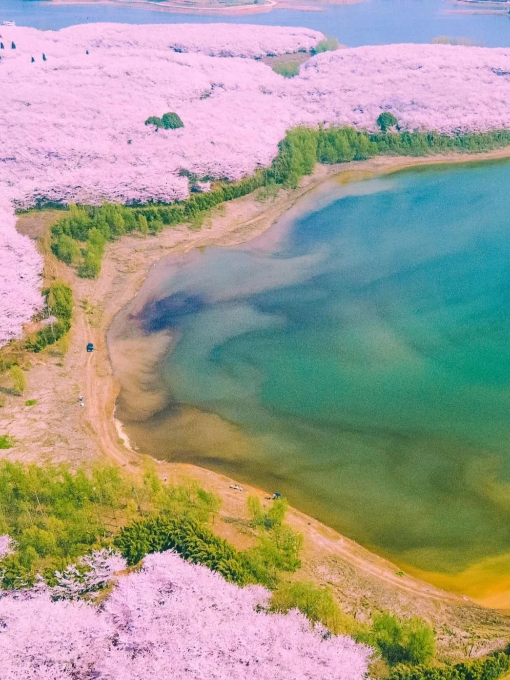 3-5月安顺旅游攻略🌸小众宝藏地大揭秘✨