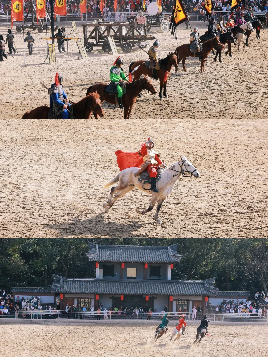 在无锡！今年见过最震撼的樱花！！！