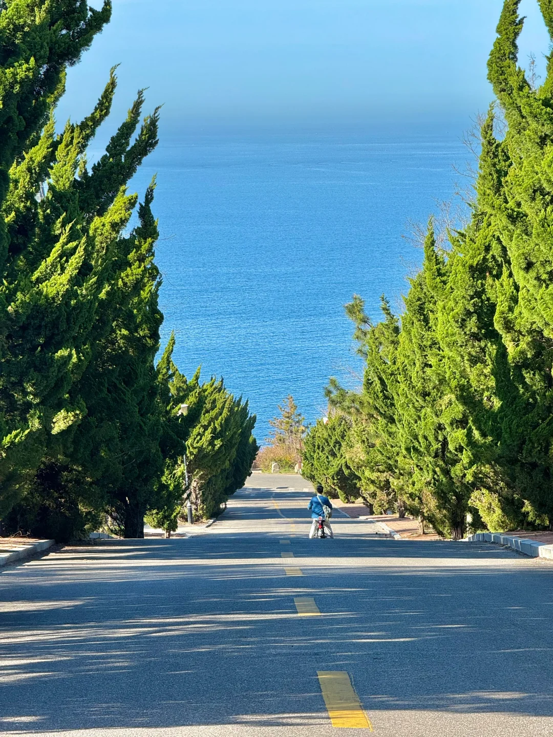 烟台！🌿超全春日🌸打卡神仙地景点合集！！