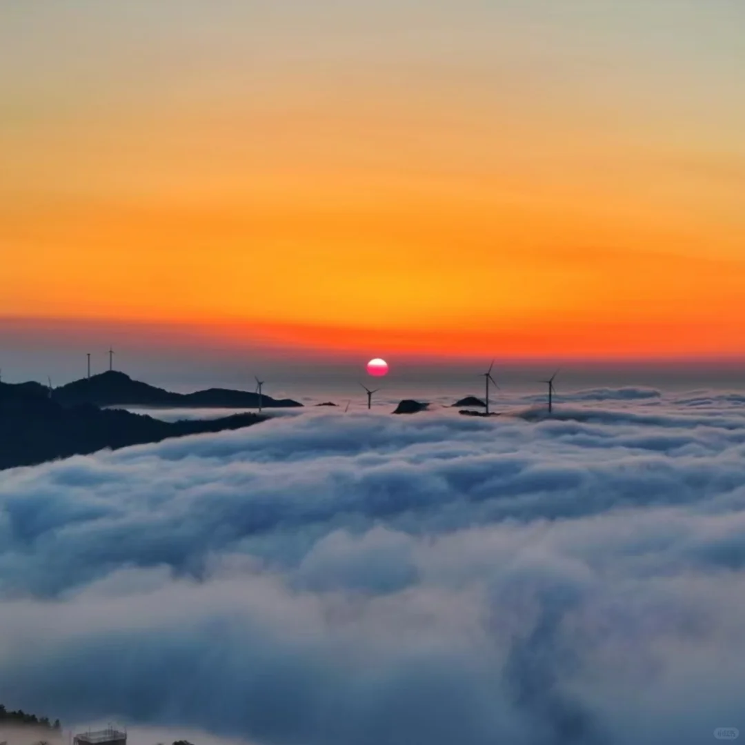 清明节信阳三天旅行攻略