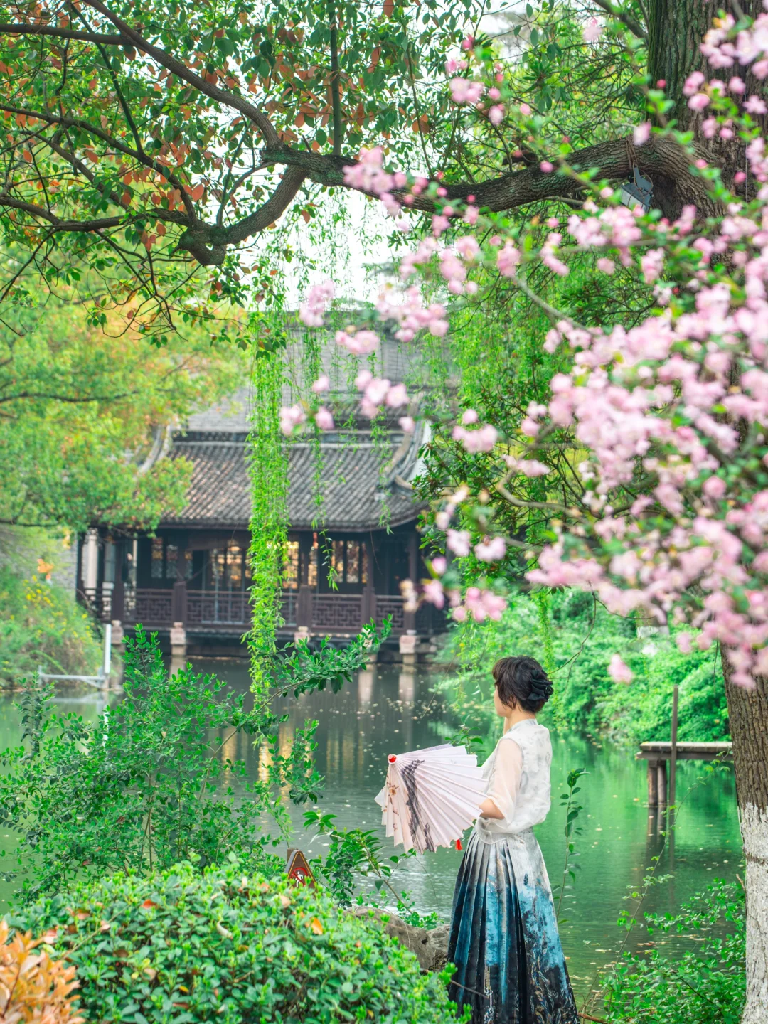 能打败乌镇的，只有春天的乌镇！