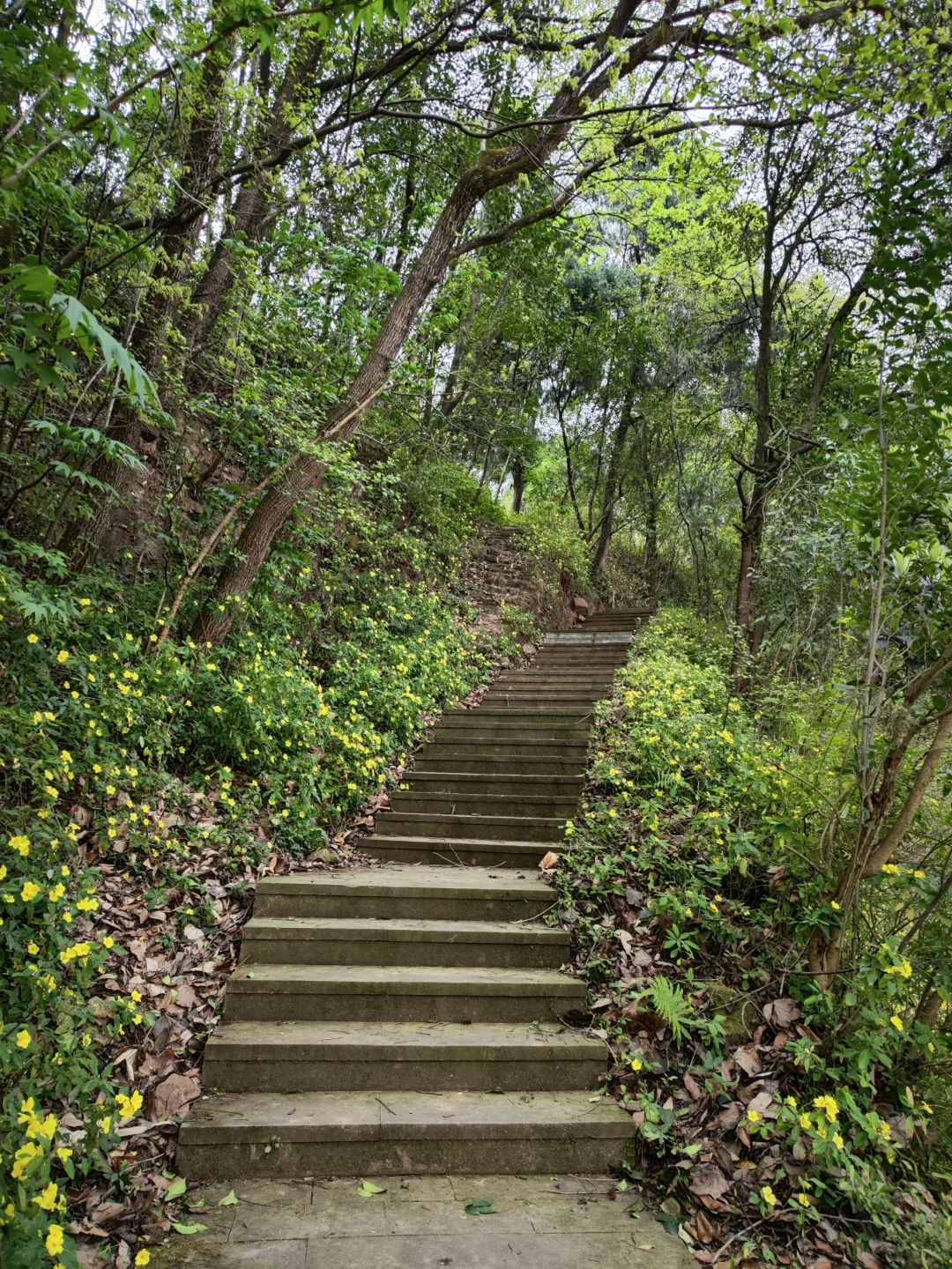 人多的冷门景区三元景区游