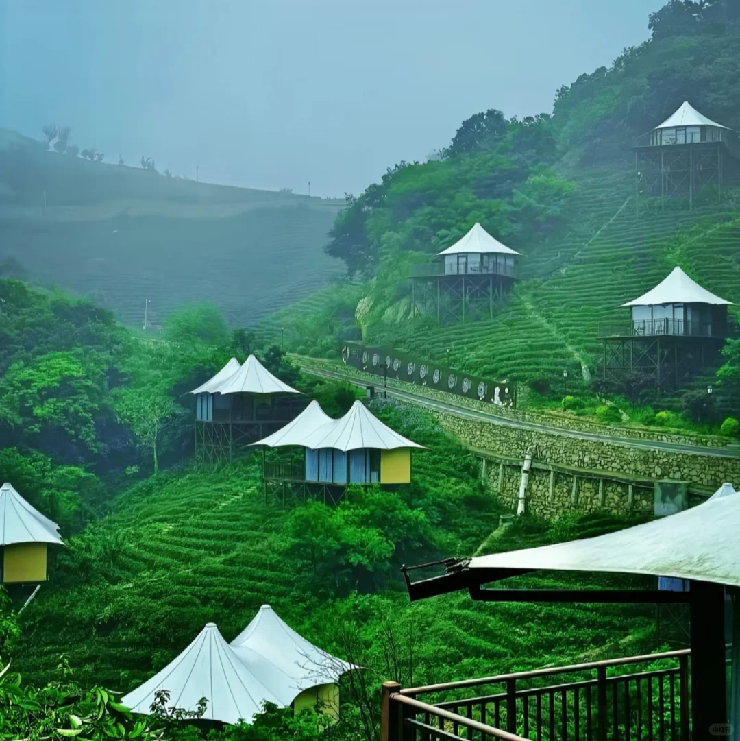 清明节信阳三天旅行攻略