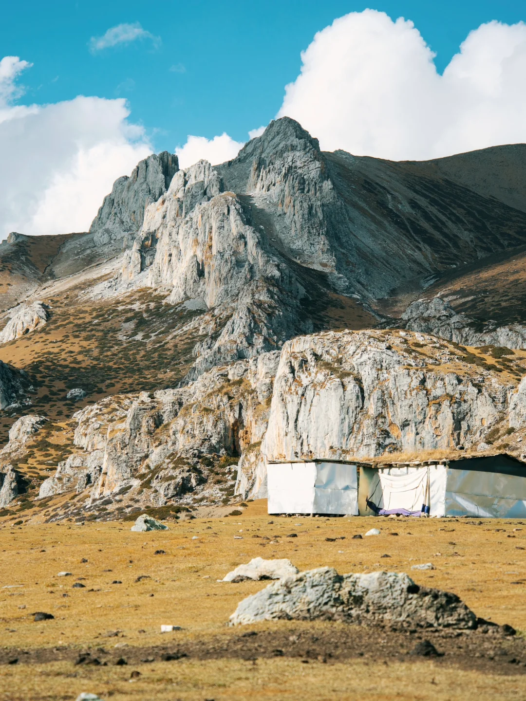 格聂 从来不是谁的平替