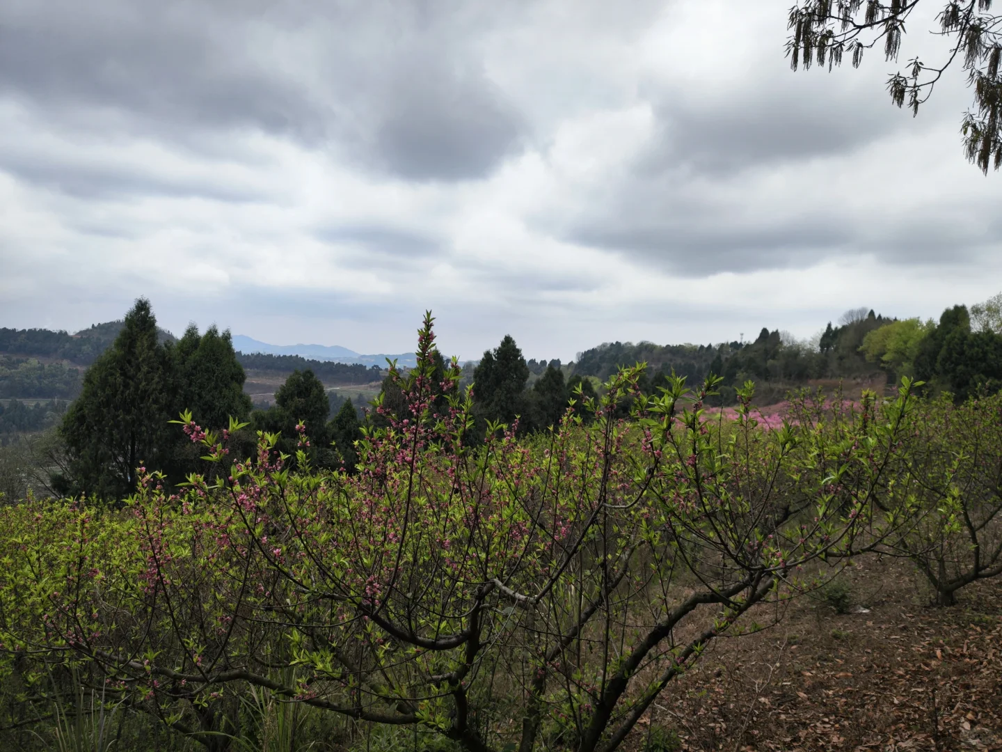 人多的冷门景区三元景区游