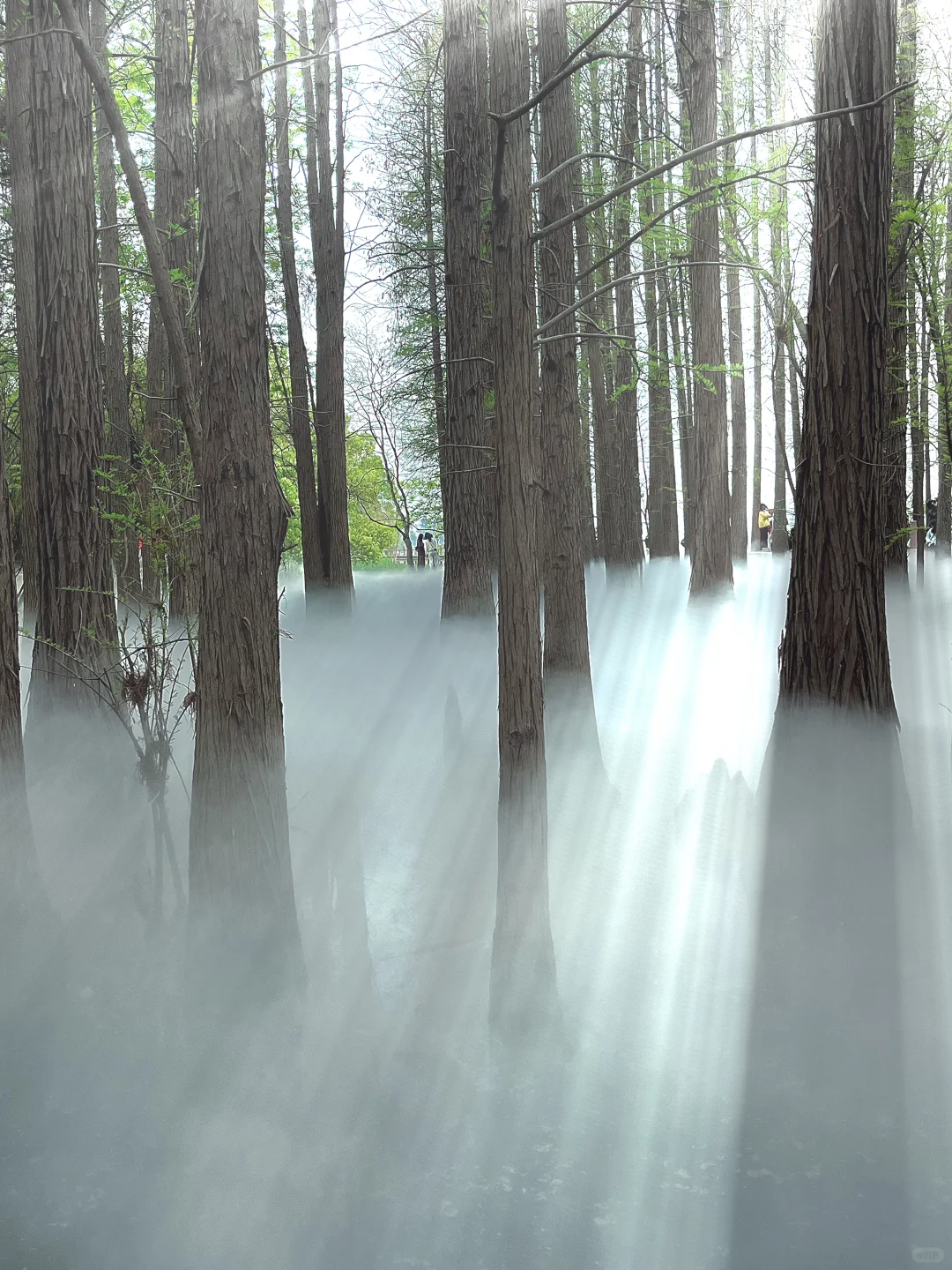 武汉东湖落雁景区