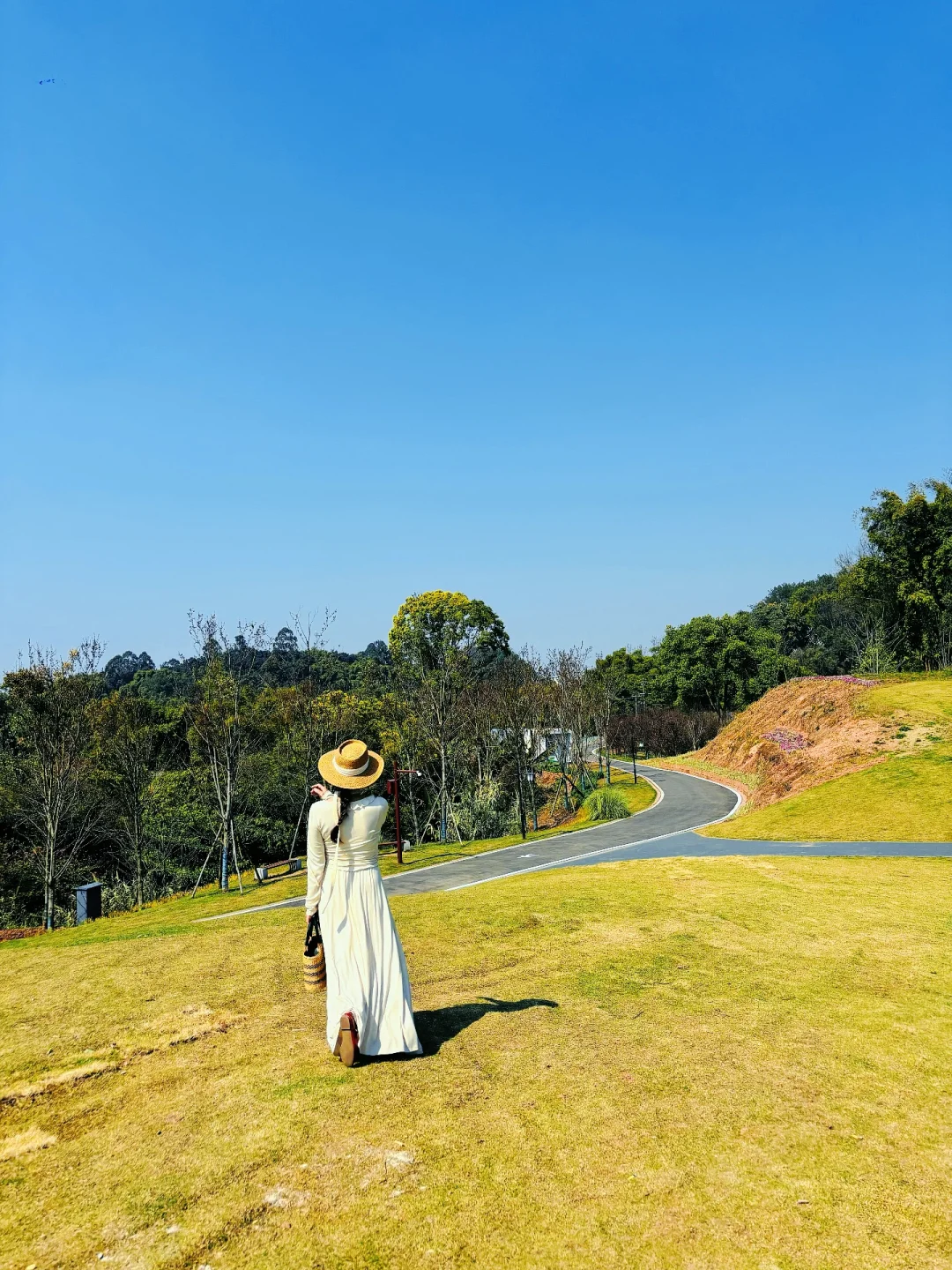 乐山」老城区被低估的公园，美到next level了