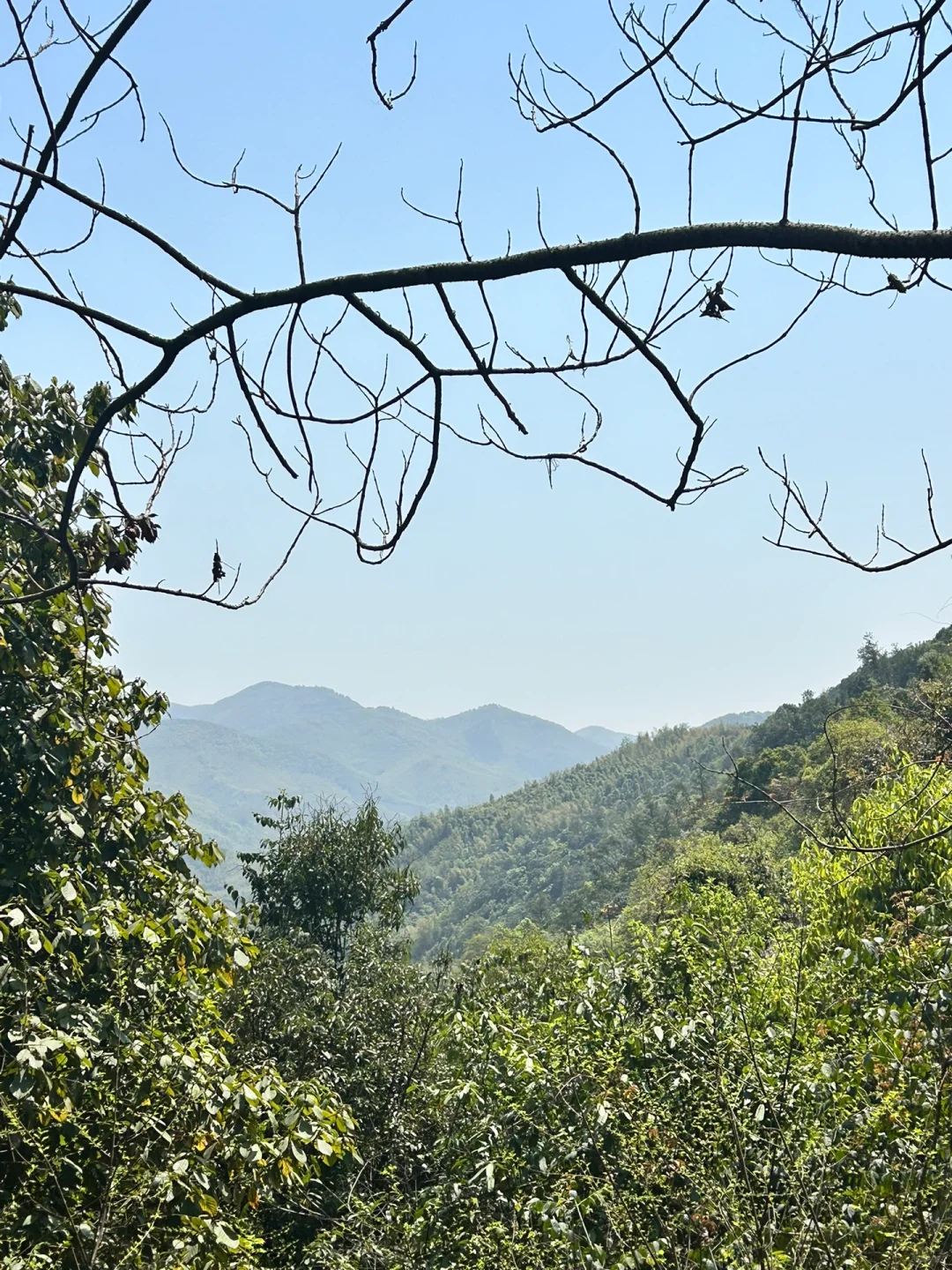 清明假期景区避雷攻略